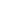 Insta Logo